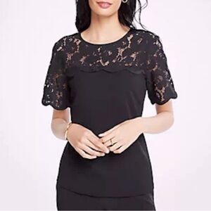 Ann Taylor Black Lace Yoke & Elbow Sleeves Jersey Knit Blouse EUC, Sz. S